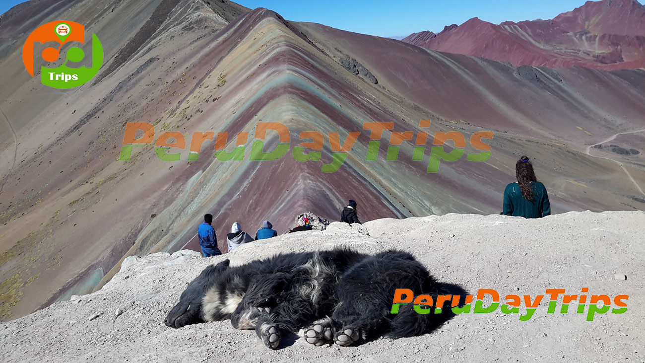 Peru Day Trips
